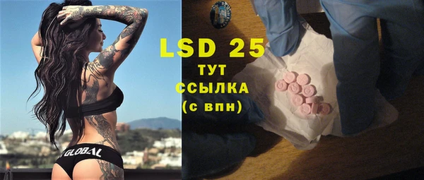 дживик Чегем