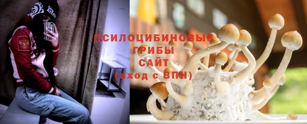 прущий лед Чекалин