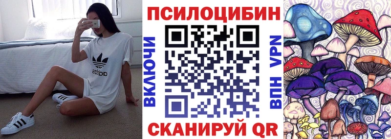 Галлюциногенные грибы Psilocybine cubensis  хочу наркоту  Сураж 